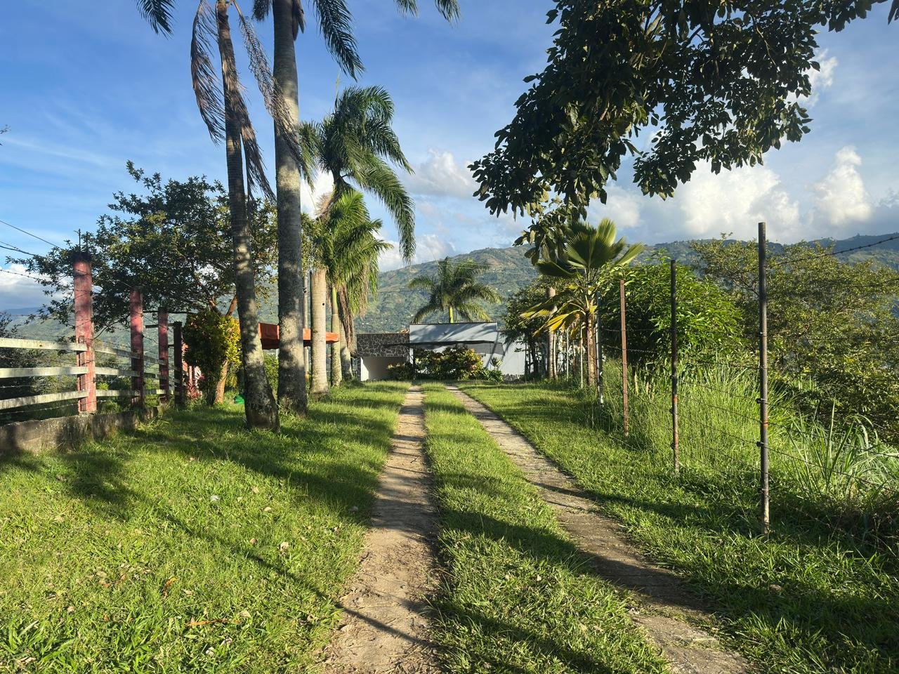 san gabriel centro de ayuda 4